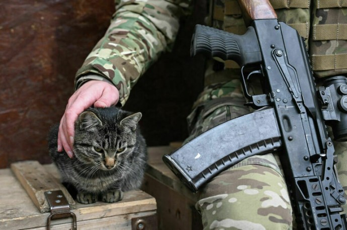 Оклады военных с 1 октября вырастут на 4,5 процента