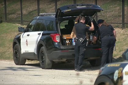 Мужчина нашел человеческий череп недалеко от работы и сравнил его с сушеной дыней