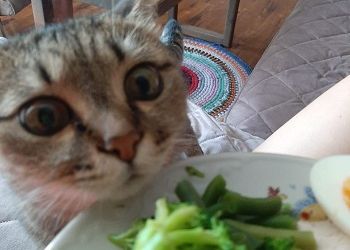 Овнов ждет весьма мрачная перспектива, Близнецы восстанут против всего мира Овнов ждет весьма мрачная перспектива, Близнецы восстанут против всего мира