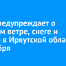МЧС предупреждает о сильном ветре, снеге и метели в Иркутской области 6 октября