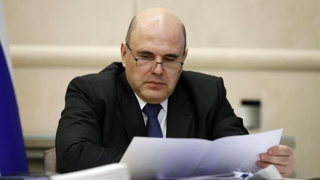 Мишустин и Турчин обсудили работу по крупным экономическим проектам
