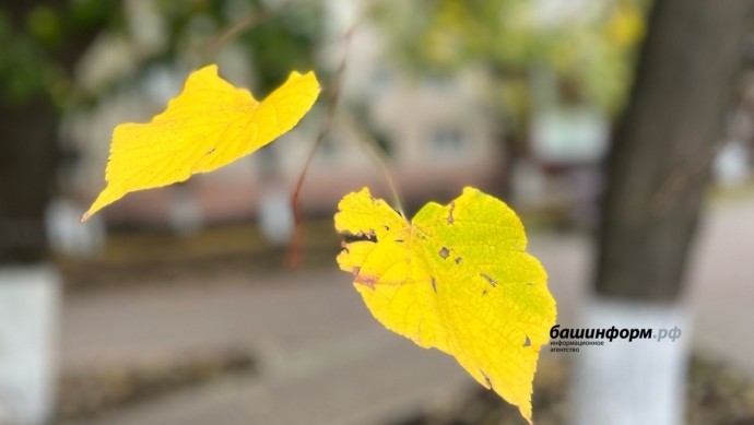 В Башкирии синоптики сообщили об аномально теплом дне ноября
