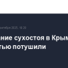 Возгорание сухостоя в Крыму полностью потушили
