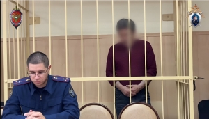 В Томской области заключен под стражу лесничий, обвиняемый в получении взятки в особо крупном размере