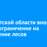 В Иркутской области вновь ввели ограничение на посещение лесов
