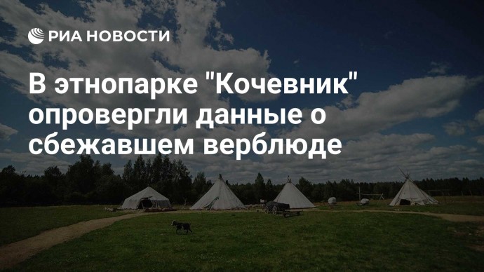 В этнопарке "Кочевник" опровергли данные о сбежавшем верблюде