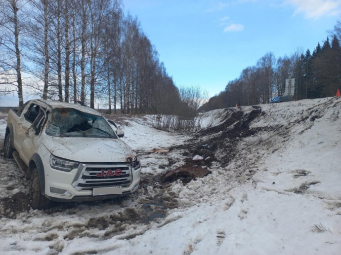 В Кирово-Чепецком районе «Джак» слетел в кювет