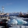 В Дании объяснили Рубио позицию королевства по вопросу Гренландии