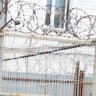 113 закладок с наркотиками в Мордовии стоили 12 лет лишения свободы жителю Узбекистана