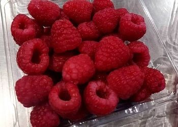 В Приамурье сожгли малину из Китая