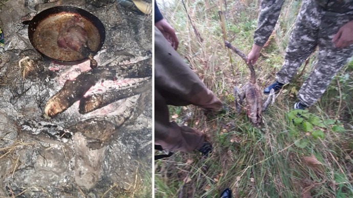 Браконьер из Челябинской области пожарил и съел лебедя Браконьер из Челябинской области пожарил и съел лебедя