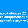 В Иркутской области 22 человека оштрафовали за выброшенный в лесу мусор