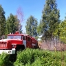 Лесной пожар в Костромской области тушили больше 8 часов
