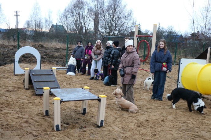 Около 50 площадок для выгула животных создано в Ярославской области