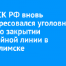 Глава СК РФ вновь заинтересовался уголовным делом о закрытии трамвайной линии в Усть-Илимске