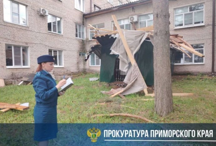 Штормовой ветер: падающие деревья повредили провода и кровлю больницы в Приморье