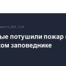 Пожарные потушили пожар в ялтинском заповеднике