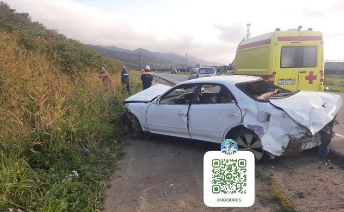 В Холмске автомобиль съехал с дороги: пострадал водитель