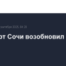 Аэропорт Сочи возобновил работу