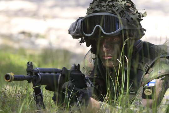 Британская рукоять финского топора и мечтания о «Междуморье»: градус антироссийской активности Хельсинки только повышается