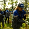 В день рождения компании ярославские газовики высадили саженцы клёна для озеленения парка 30-летия Победы