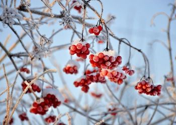 На севере Амурской области похолодает до -22° На севере Амурской области похолодает до -22°