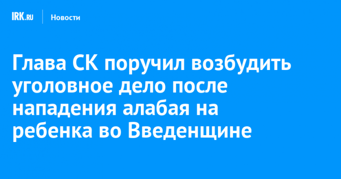 Глава СК поручил возбудить уголовное дело после нападения алабая на ребенка во Введенщине