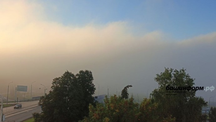Жителей Башкирии предупредили о сильном тумане Жителей Башкирии предупредили о сильном тумане