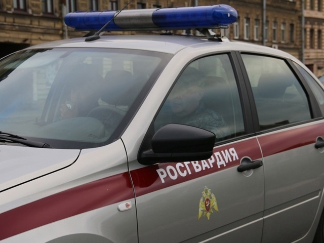 В Ленобласти задержали подозреваемых в похищении 1 млрд рублей при восстановлении леса