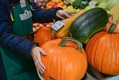 Почти 100 тонн тыкв приобрели посетители московских ярмарок за сезон