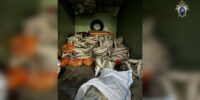 В Астрахани директор фирмы попался на хранении почти 14 тонн нелегальной рыбы