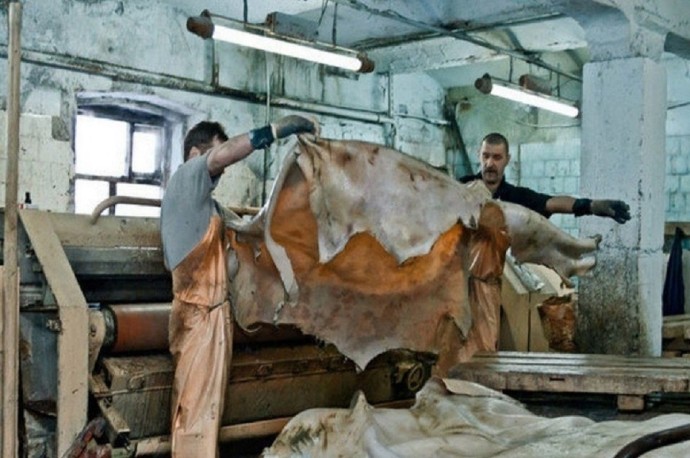 Стало известно, почему в Дагестане закрыли завод по выделке шкур Стало известно, почему в Дагестане закрыли завод по выделке шкур