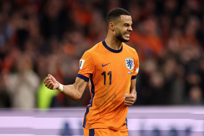 Нидерланды разгромили Литву в отборе ЧМ-2026 Нидерланды разгромили Литву в отборе ЧМ-2026