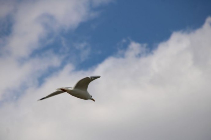 Будет ли завтра дождь в Астрахани