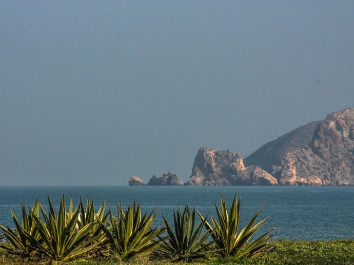 Этот город на краю Марокко зовут жемчужиной Средиземноморья — и вот почему Этот город на краю Марокко зовут жемчужиной Средиземноморья — и вот почему