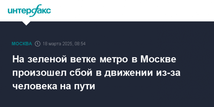 На зеленой ветке метро в Москве произошел сбой в движении из-за человека на пути