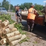 Жителям Белогорска предложили разобрать бурелом на дрова