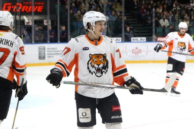 Амур – Трактор: прямая трансляция, где смотреть матч онлайн 11 ноября