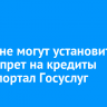 Россияне могут установить самозапрет на кредиты через портал Госуслуг