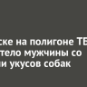 В Братске на полигоне ТБО нашли тело мужчины со следами укусов собак