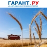 Правила работы с системой прослеживаемости зерна в новых регионах упростили