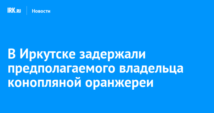 В Иркутске задержали предполагаемого владельца конопляной оранжереи