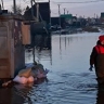 Волонтеры НФ помогают бороться с последствиями паводка в селе Хомутово