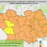 Почти во всех районах Пензенской области ожидается четвертый класс пожарной опасности