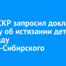 Глава СКР запросил доклад по делу об истязании детей в детсаду Усолья-Сибирского