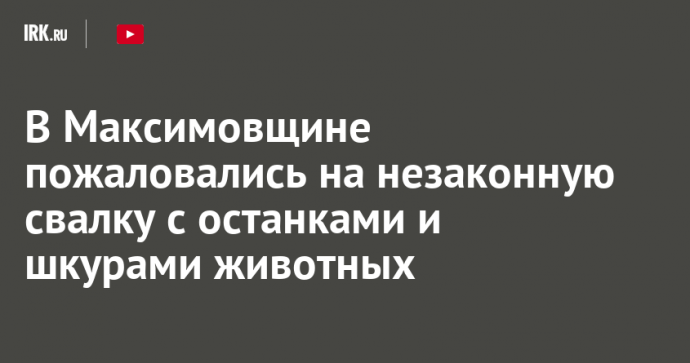 В Максимовщине пожаловались на незаконную свалку с останками и шкурами животных