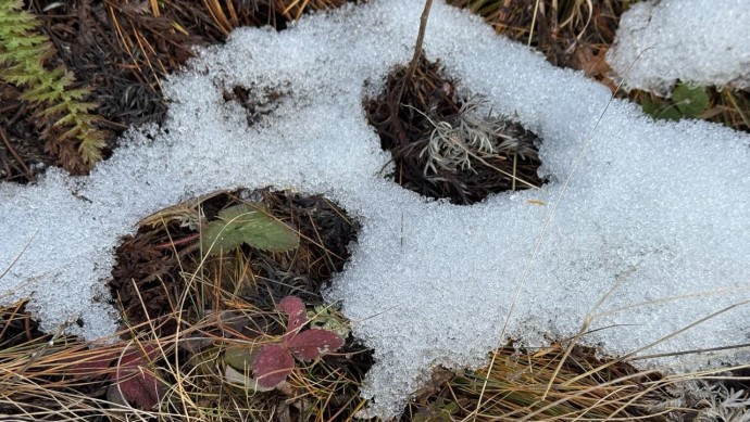 В Башкирии удивили прогнозом на ноябрь и декабрь В Башкирии удивили прогнозом на ноябрь и декабрь