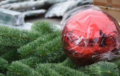 Новую главную елку доставили в Пензу: монтаж уже начался