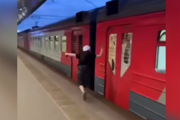 Полиция задержала 14-летнюю москвичку, разгромившую электричку молотком