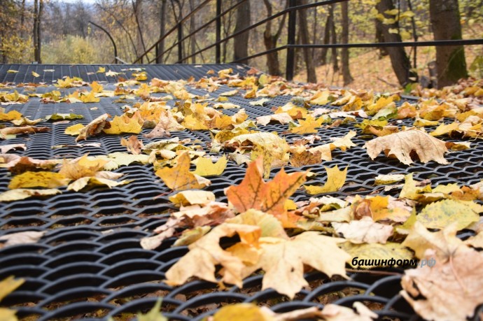 В Башкирии начнутся дожди В Башкирии начнутся дожди